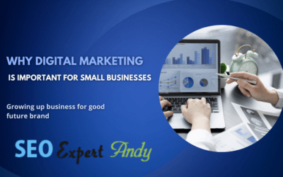 Why Digital Marketing is Important for Small Businesses